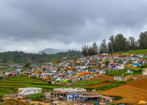 Ooty, Tamil Nadu