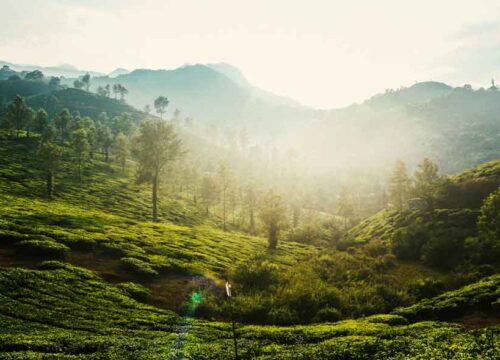 Wayanad, Kerala